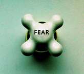 embrace fear