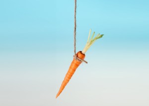 Carrot-on-stick
