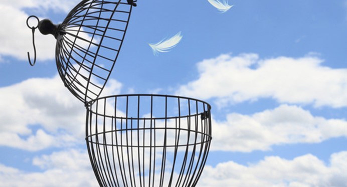 Why Startups ARE For Everyone, part&nbsp;1