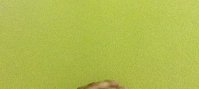 I Forgot I Was On&nbsp;Vocation!