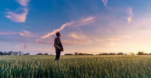 To Dream is Human, After&nbsp;All