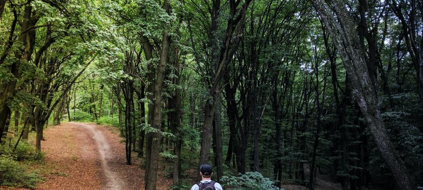 Covid-19’s Cannonball Call